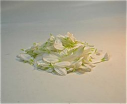 Un montón de dudas. Daisy petals / variable measures