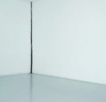 Corner pole