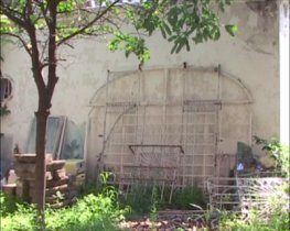Video Still - day 1