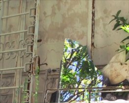 Video Still - day 3