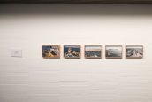 Installation view (Photo MAS / MUSAC )