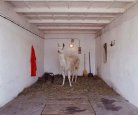Tehnica Schweiz, From the series, 