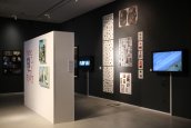 Showroom Krakow