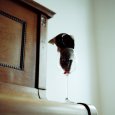 keep away from fire | Constant Traverse