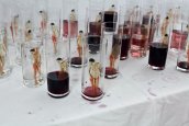 Gluttony  (glass, wine, water)