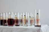 Gluttony (glass, wine, water)