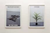 Installation view of They are these or they may be others (solo exhibition), 3+1 Arte Contemporânea (Lisbon, Portugal, 2015) © João Ferro Martins