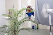 Installation view of Generación 2015, La Casa Encendida (Madrid, Spain, 2015) [Detail]
