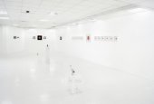 Vernalin - installation view