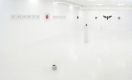 Vernalin - installation view