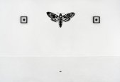 Vernalin - installation view