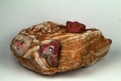 Metamorphism